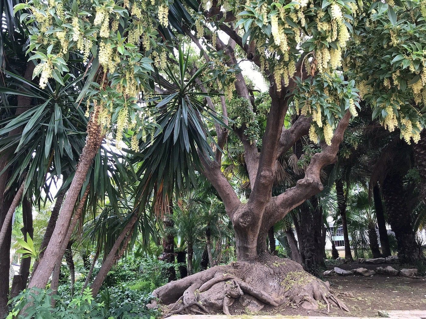 Parc de Sant Jordi, Reus — Gala Flors d'Honor, Viles Florides 2026