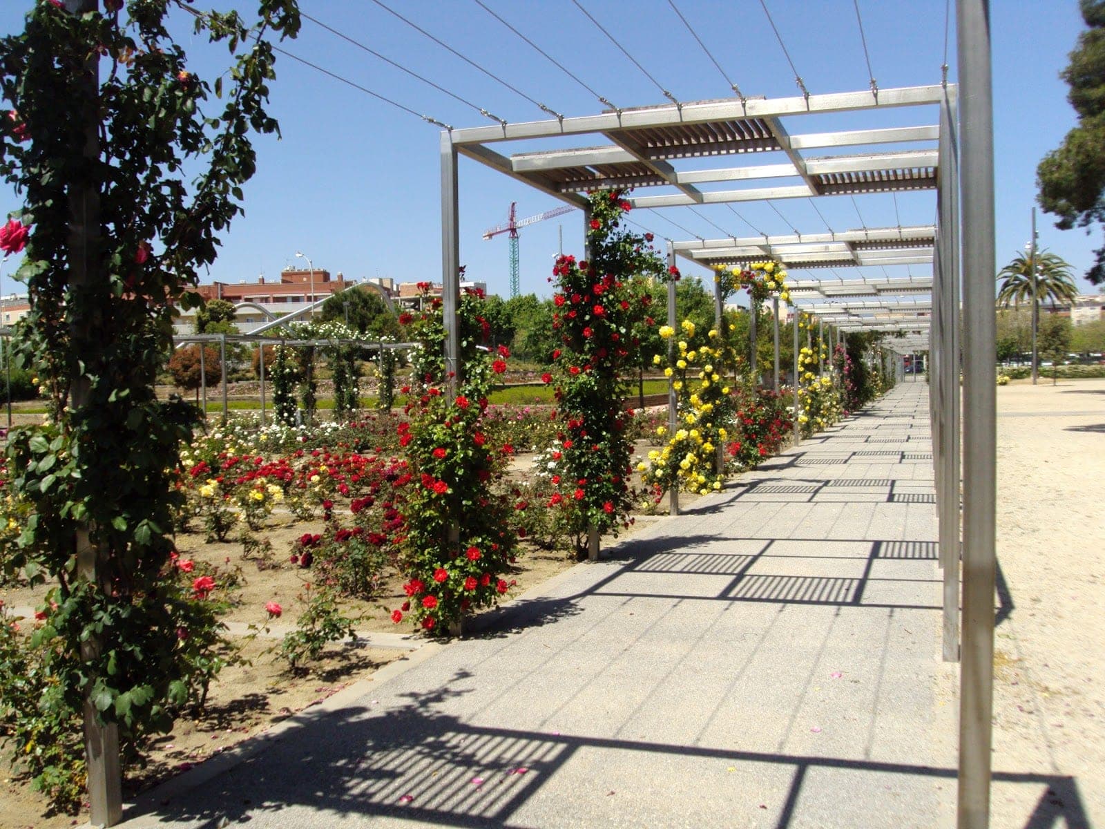 Reus, Reus — Gala Flors d'Honor, Viles Florides 2026