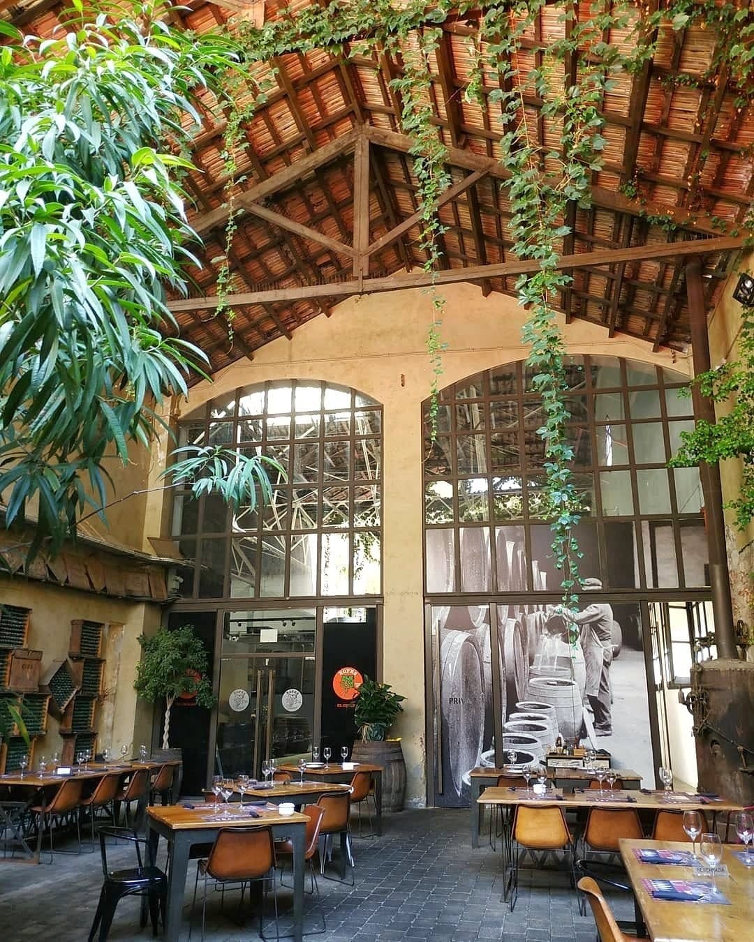 Vermut Rofes, Reus — Gala Flors d'Honor, Viles Florides 2026